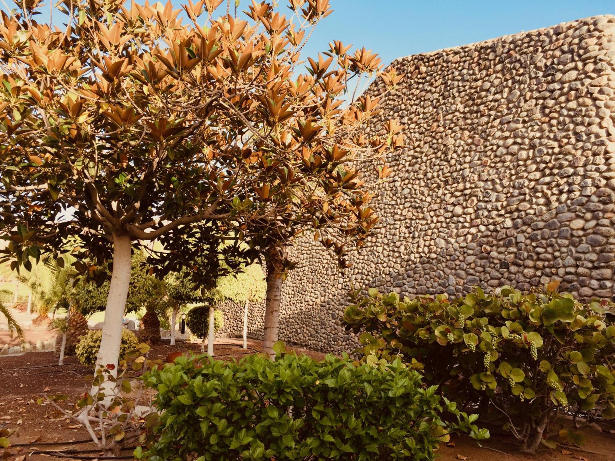 M&F Golf Views. Walk To Beach La Playa de Tauro Exterior foto